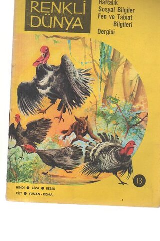 Renkli Dünya /13