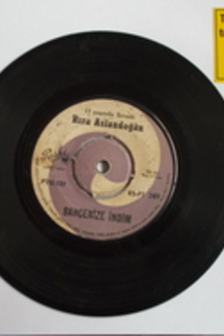 Rıza Aslandoğan / 45'lik PLAK