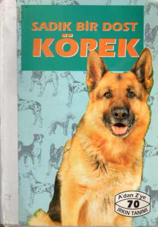 Sadık Bir Dost Köpek