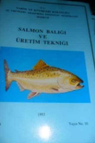 Salmon Balığı ve Üretim Tekniği