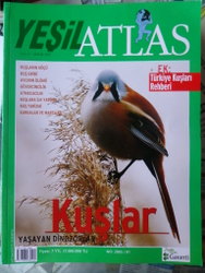 Yeşil Atlas 2005 / 8