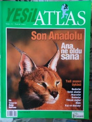 Yeşil Atlas 2001 / 1
