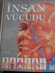İnsan Vücudu