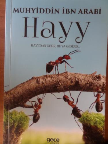 Hayy Muhyiddin İbn Arabi