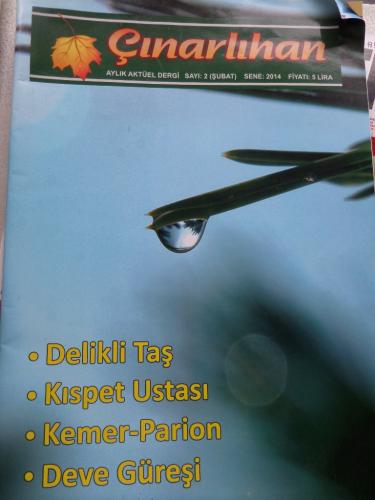 Çınarlıhan Sayı 2 Şubat 2014