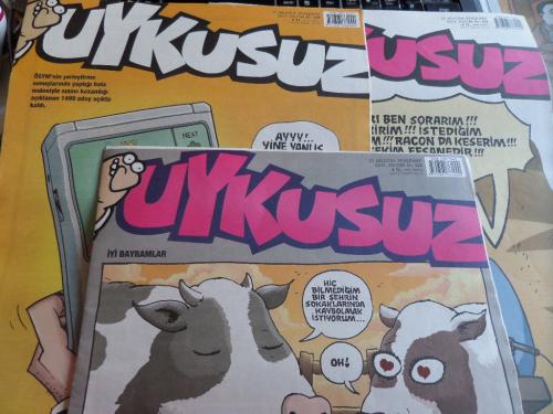 Uykusuz 2017 / 33-34-35