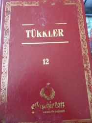 Türkler 12. Cilt