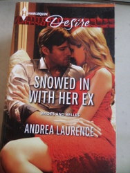 Snowed In With Her Ex Andrea Laurence