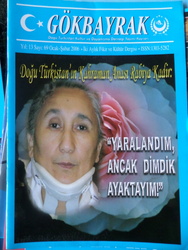 Gökbayrak İki Aylık Fikir ve Kültür Dergisi 2006 / 69