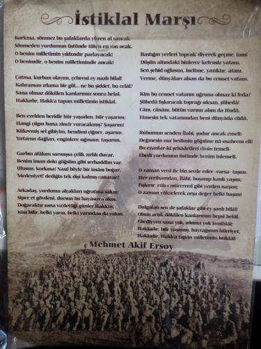 İstiklal Marşı / Sert Poster