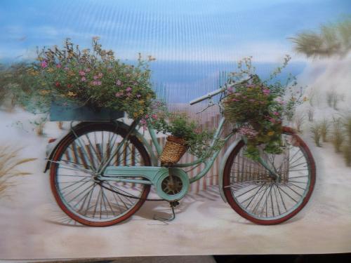 3 Boyutlu Hareketli Resim / Bisiklet