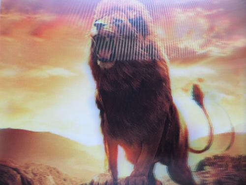 3 Boyutlu Hareketli Resim / Aslan