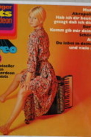 Schlager Hits Akkordeon in Stereo / 33'lük PLAK