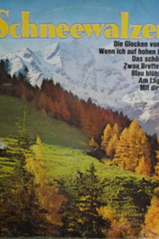 Schneewalzer / 33'lük PLAK