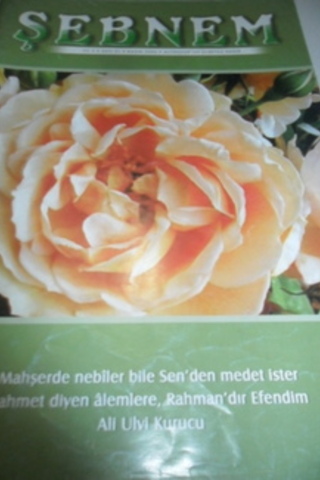 Şebnem 2006 / 21