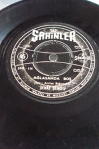 Şenay Şenses / 45'lik Plak