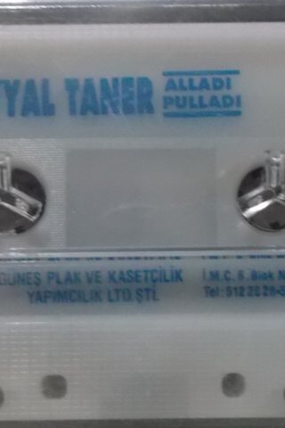 Seyyal Taner ( kaset)