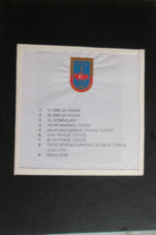 Silahlarla İlgili Ders Planı