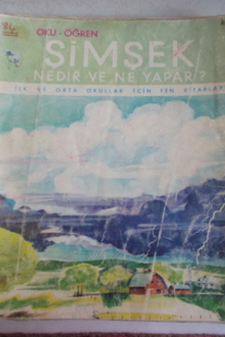 Şimşek Nedir ve Ne Yapar ?