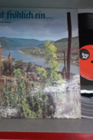 Stimmt Fröhlich Ein / 33'lük PLAK