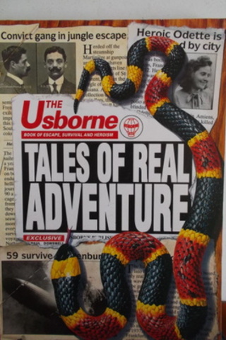 Tales Of Real Adventure