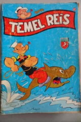 Temel Reis 17