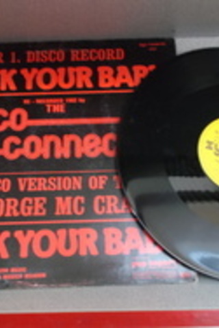 The Disco Connection / 33'lük PLAK