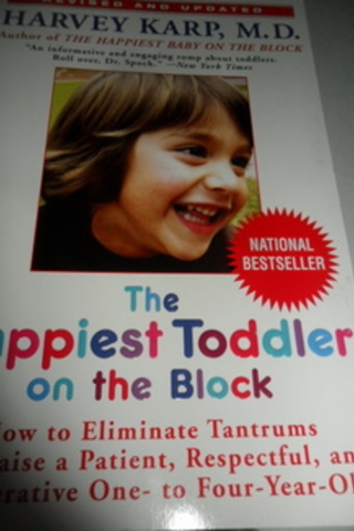 The Happiest Toddler On The Block Harvey Karp