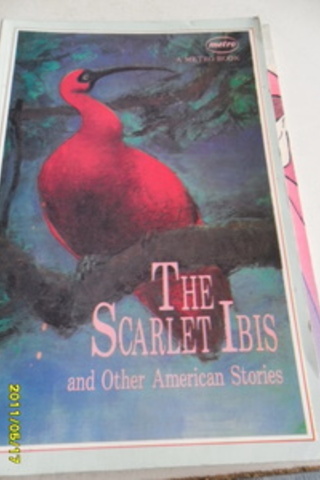 The Scarlet Ibıs