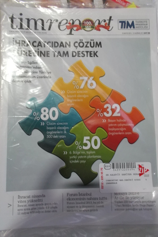 TİMREPORT 2013 /100