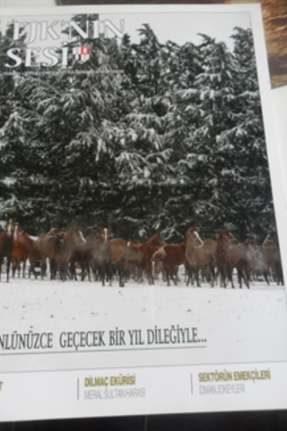 TJK'nın Sesi 2011 / 138