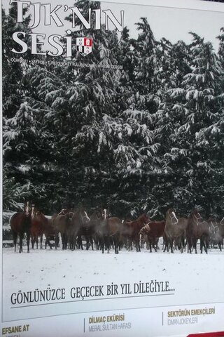 TJK'nın Sesi - Sayı 138