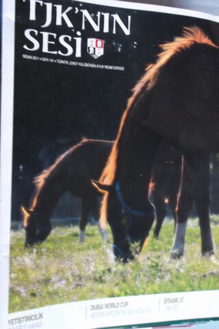 TJK'nın Sesi - Sayı 141