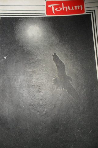 TOHUM AYLIK FİKİR VE SANAT DERGİSİ YIL.2- SAYI.22-TEMMUZ- 1965