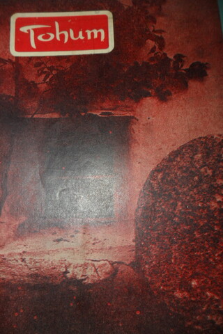 TOHUM AYLIK FİKİR VE SANAT DERGİSİ YIL.3- SAYI.29- KASIM- 1966