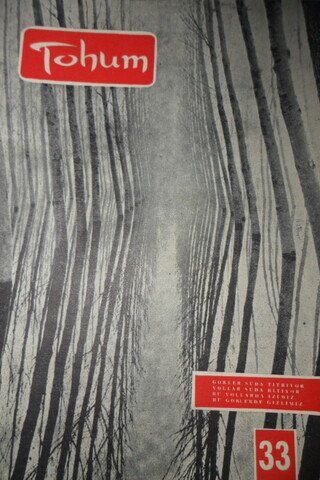 TOHUM AYLIK FİKİR VE SANAT DERGİSİ YIL.3- SAYI.33-KASIM-1968