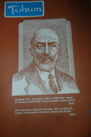 TOHUM AYLIK FİKİR VE SANAT DERGİSİ YIL.3- SAYI.35-KASIM-1968