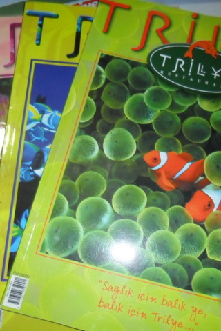 Trilye Restaurant / 3 Adet