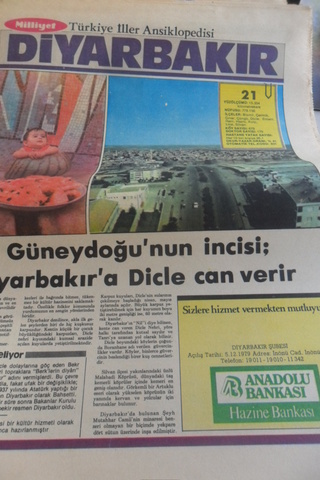 Türkiye İller Ansiklopedisi - Diyarbakır