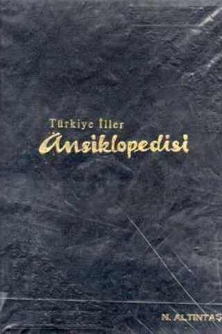 Türkiye İller Ansiklopedisi