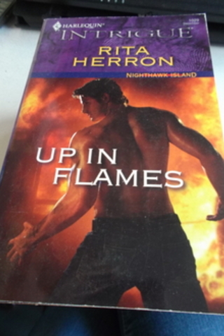 Up In Flames Rita Herron