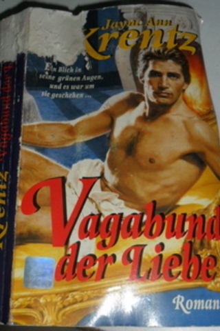 Vagabund Der Liebe Jayne Ann Krentz