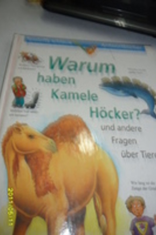 Warum Haben Kamele Höcker ?