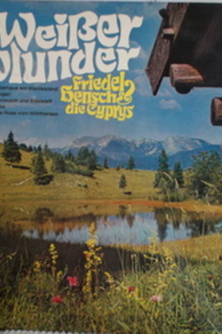 Weiber Holunder / 33'lük PLAK