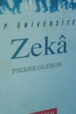 Zeka Pierre Oleron