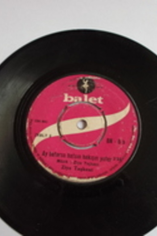 Ziya Taşkent / 45'lik PLAK