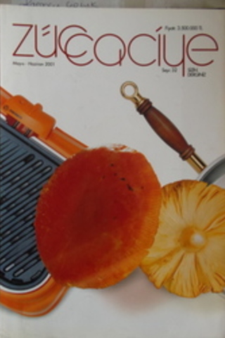 Züccaciye Dergisi Mayıs-Haziran 2001 Sayı:32