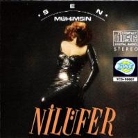 Nilüfer / Sen Mühimsin