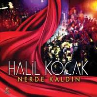 Halil Koçak / Nerde Kaldın