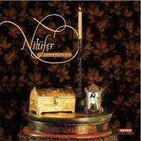 Nilüfer / Sürprizler